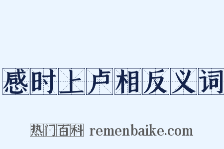 感时上卢相反义词是什么意思的图片